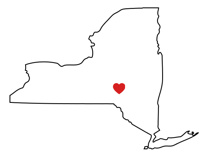 New York State Map